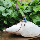 large shell rider